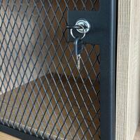 Photo du produit 'Porte � treillis avec serrure 70x70cm'