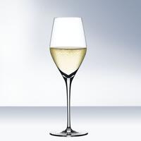 Spiegelau AUTHENTIS Coupe � champagne, set de 4 (11,75 EUR/verre)