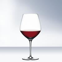 Spiegelau AUTHENTIS Verre � vin rouge Bourgogne, set de 4 (11,75 EUR/verre)